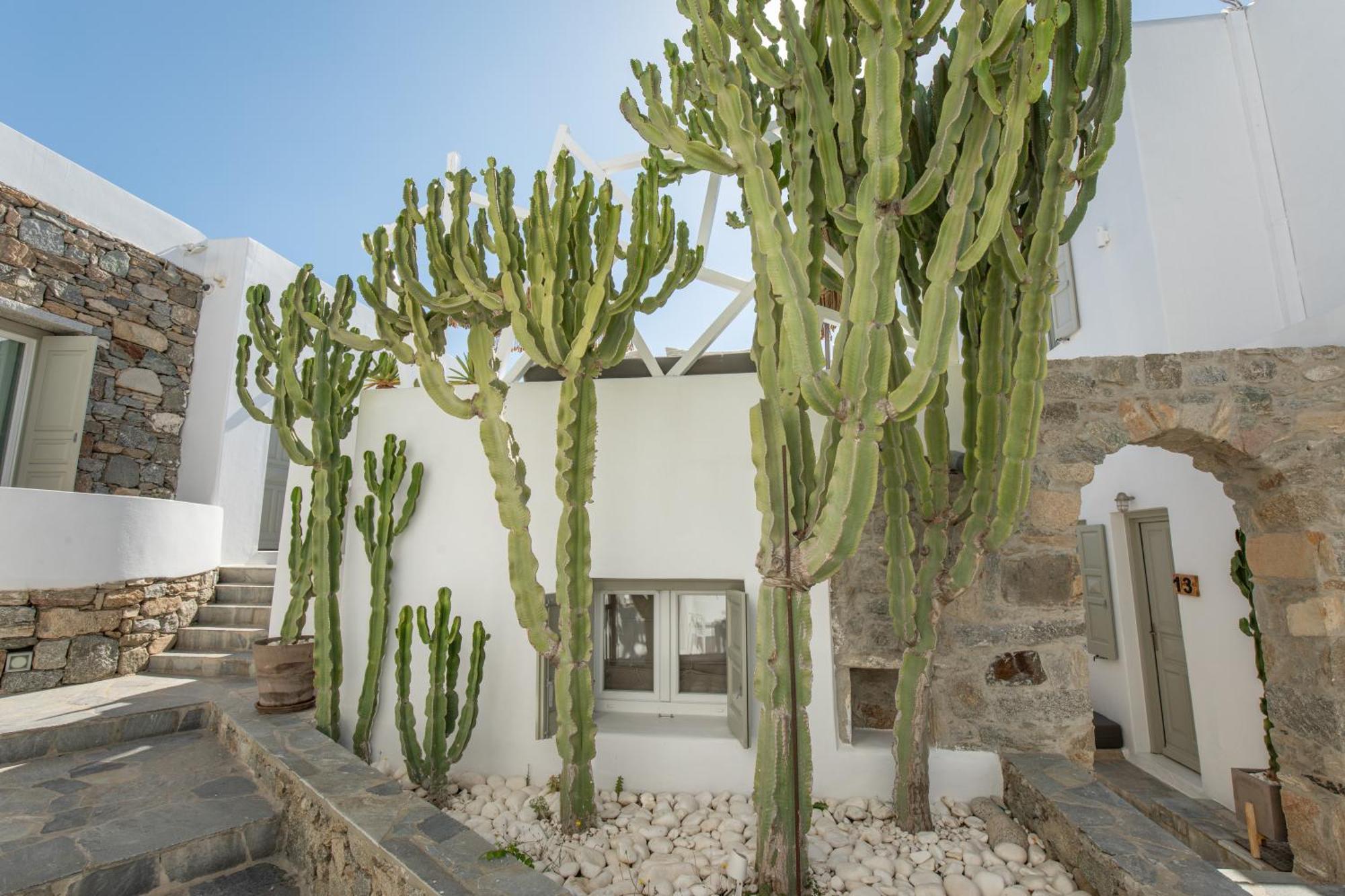 Damianos Mykonos Hotel Mykonos Town Exterior photo